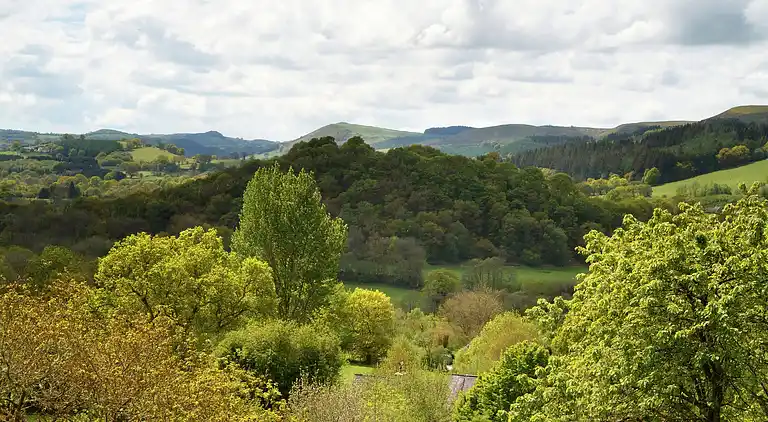 Sommerhus i Rhandirmwyn