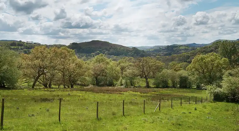 Sommerhus i Rhandirmwyn