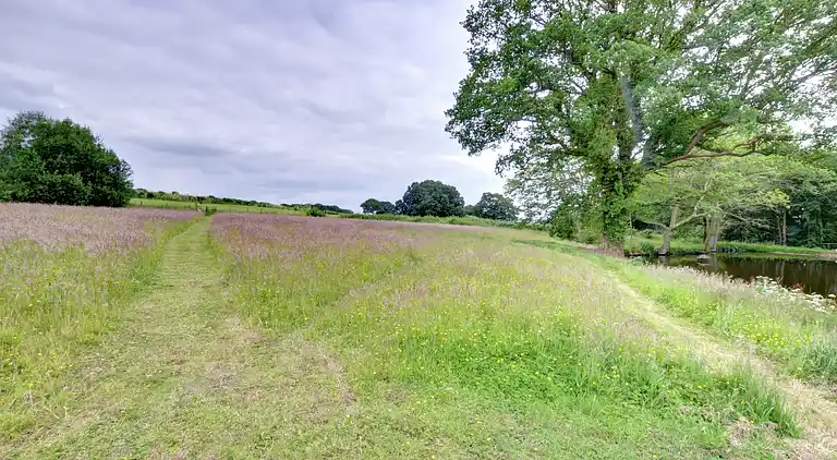 Semesterbostad i Rolvenden