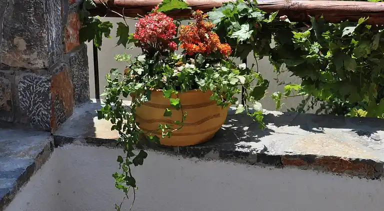 Sommerhus i Epano Elounda