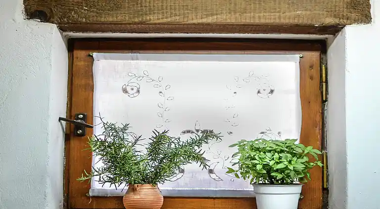 Holiday home in Vamos