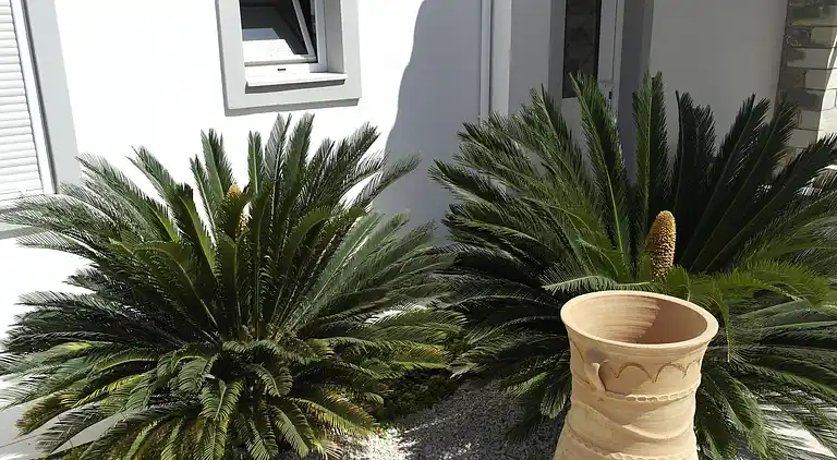 Villa i Kokkino Chorio