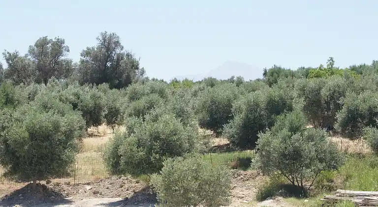 Villa in Τοπική Κοινότητα Μέσης