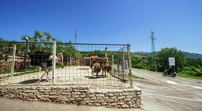 Holiday home in Jasenice