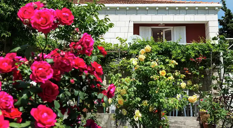 Leilighet i Babin Kuk