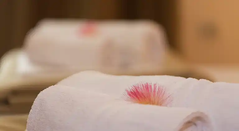 Leilighet i Podstrana