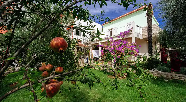 Ferielejlighed i Bibinje