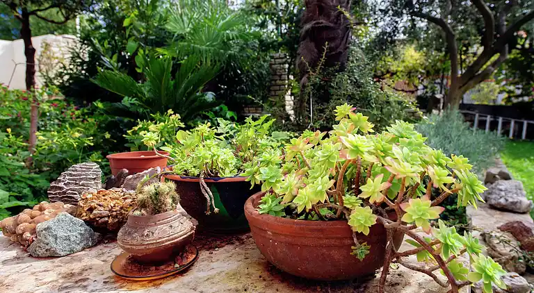 Ferielejlighed i Bibinje