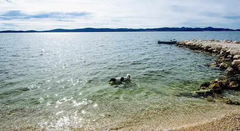 Ferielejlighed i Bibinje