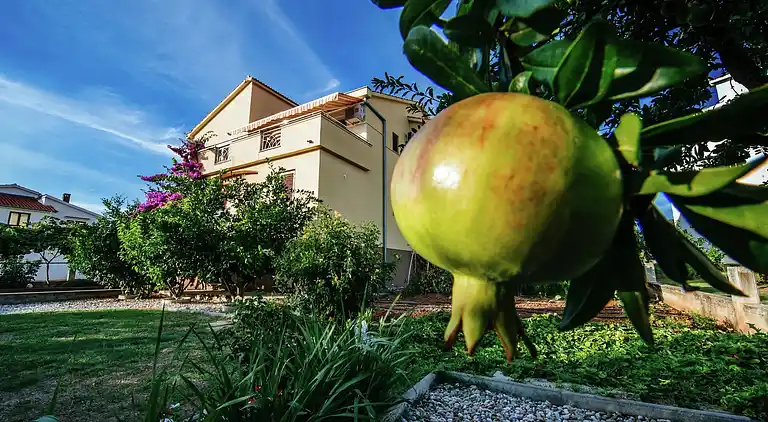 Appartement in Biograd na Moru