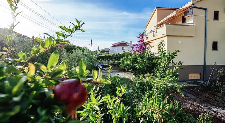 Appartement in Biograd na Moru