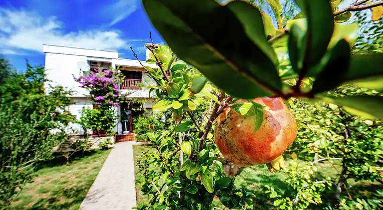 Appartamento in Ortopula