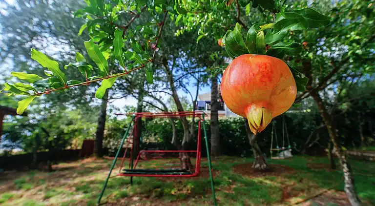 Appartamento in Ortopula