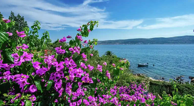 Appartamento in Ortopula