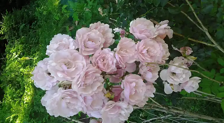 Holiday home in Delnice