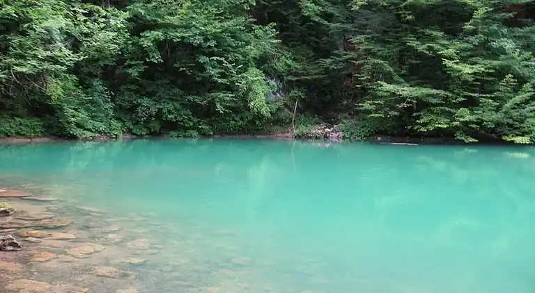 Holiday home in Delnice