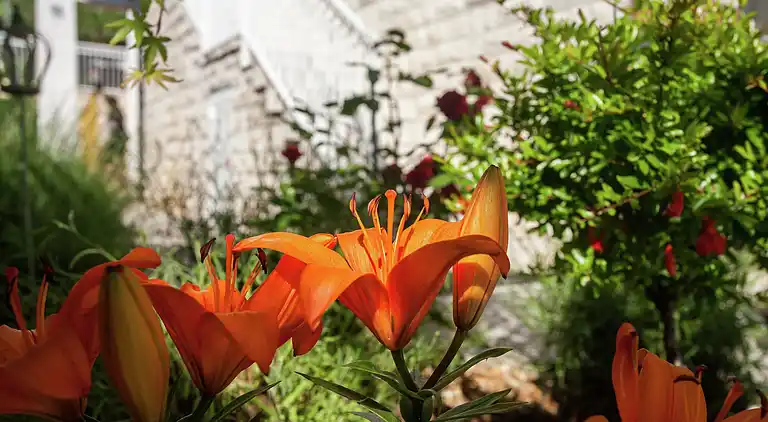 Ferielejlighed på Krk