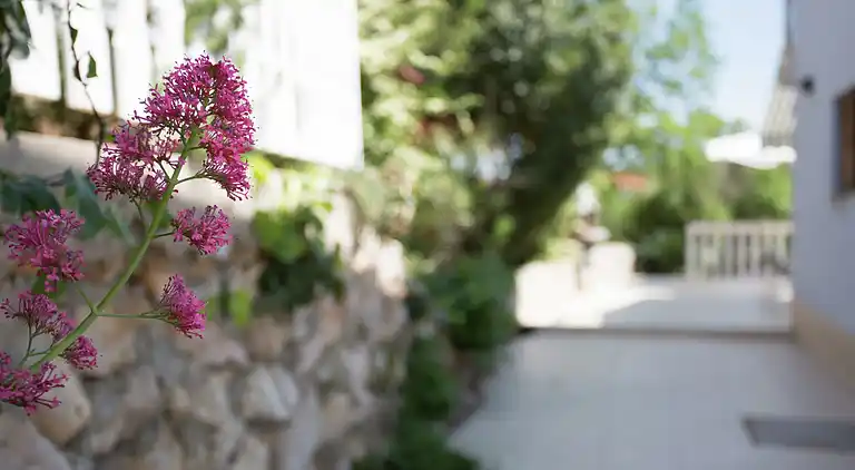 Apartment in Dobrinj