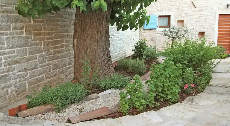 Farm house in Ježenj