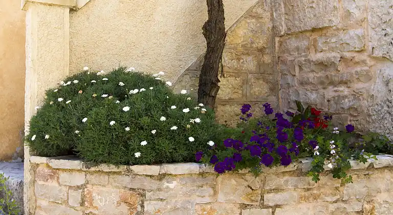 Farm house in Ježenj