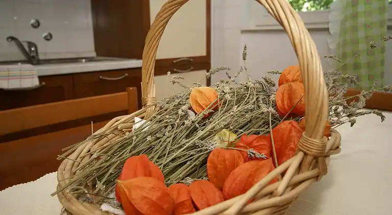 Holiday home in Pula