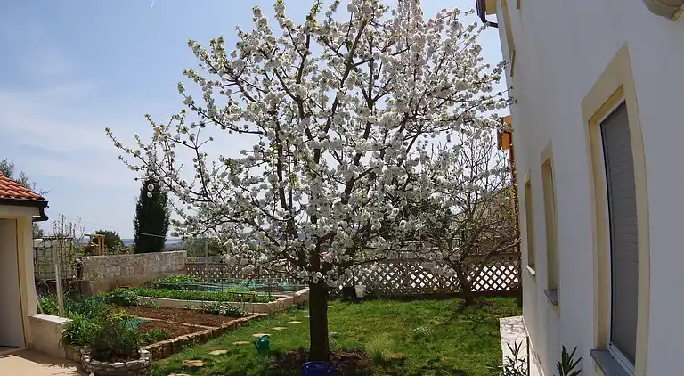 Apartment in Vinkuran