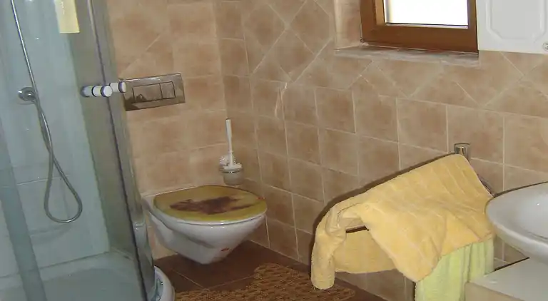 Feriebolig i Šišan