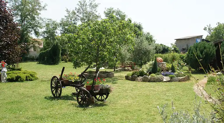 Apartment in Muntić