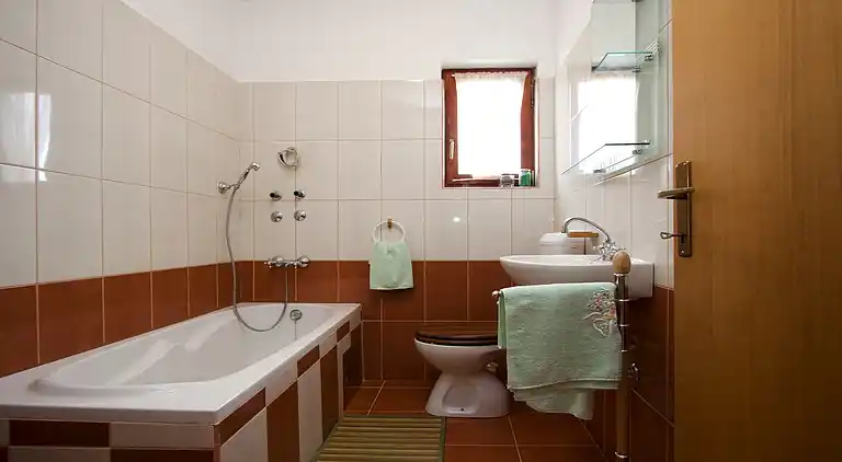 Apartment in Šajini