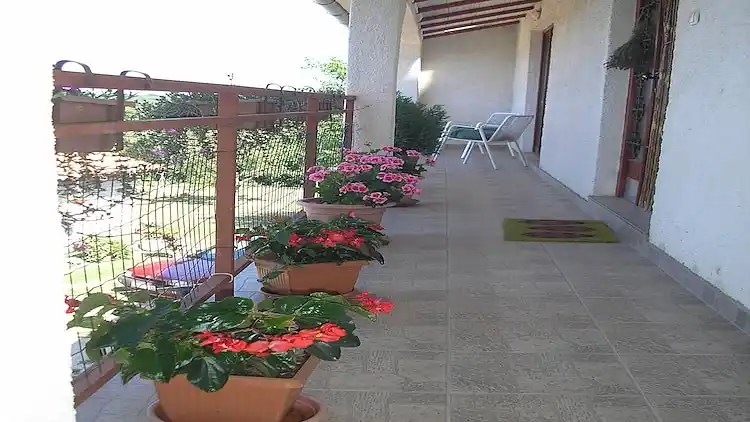 Apartment in Šajini