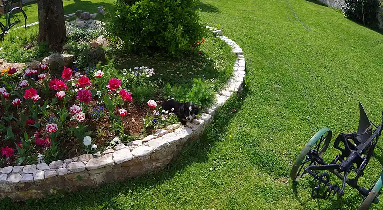 Apartment in Šajini