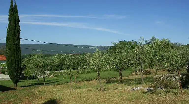 Ferielejlighed i Rakalj