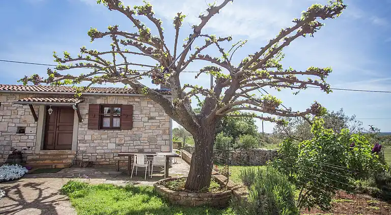 Maison de vacances en Bale