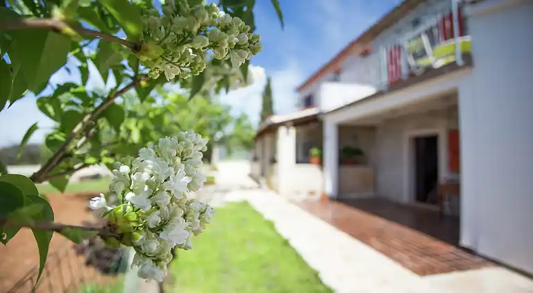Maison de vacances en Bale