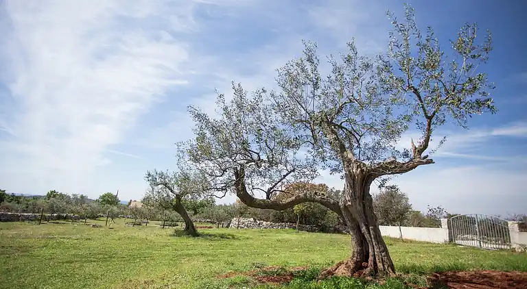Maison de vacances en Bale
