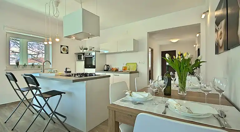 Apartment in Vinež