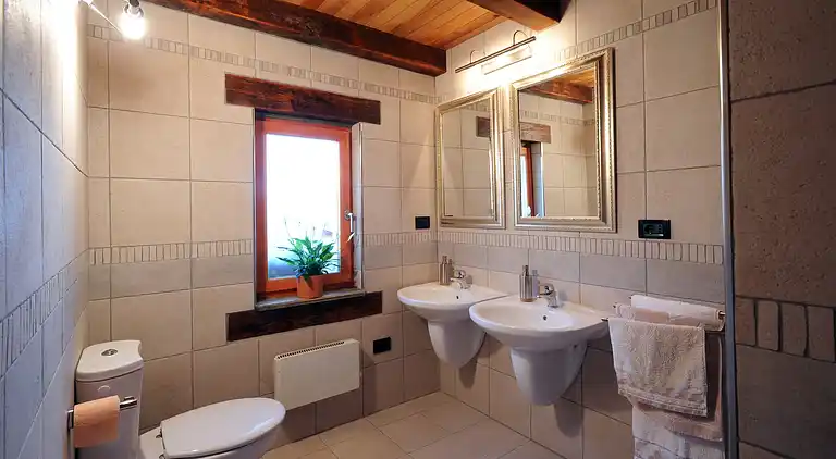 Manor house in Kožljak