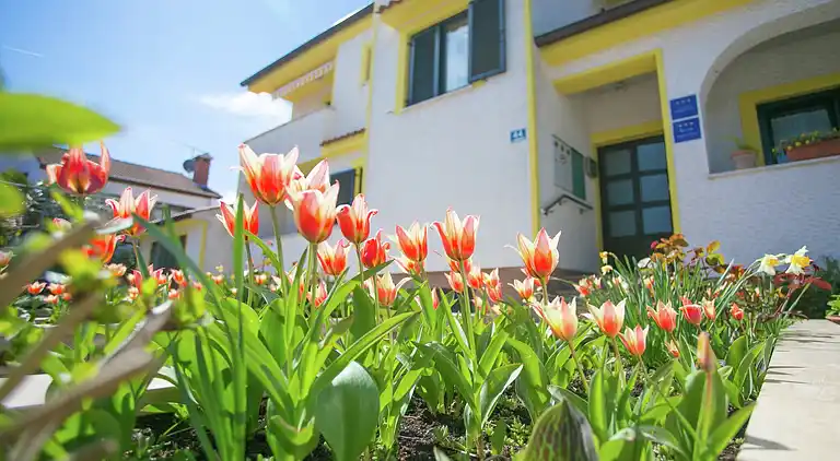 Farm house in Poreč