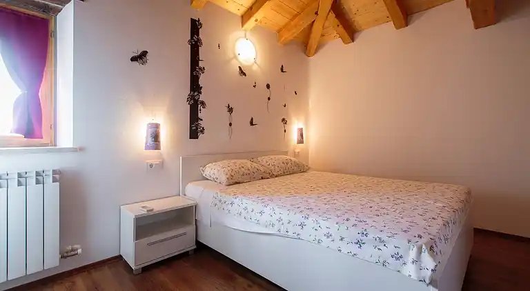 Cottage in Radetići