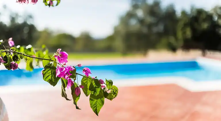 Cottage in Štifanići