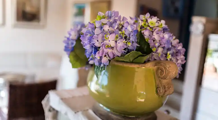 Cottage in Štifanići