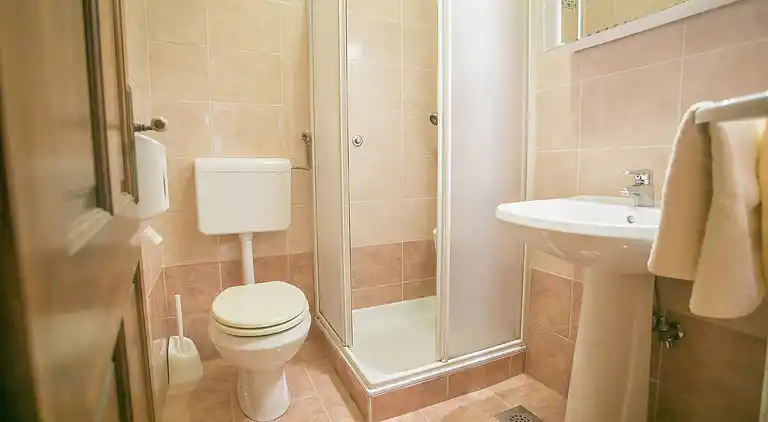 Farm house in Rakovci