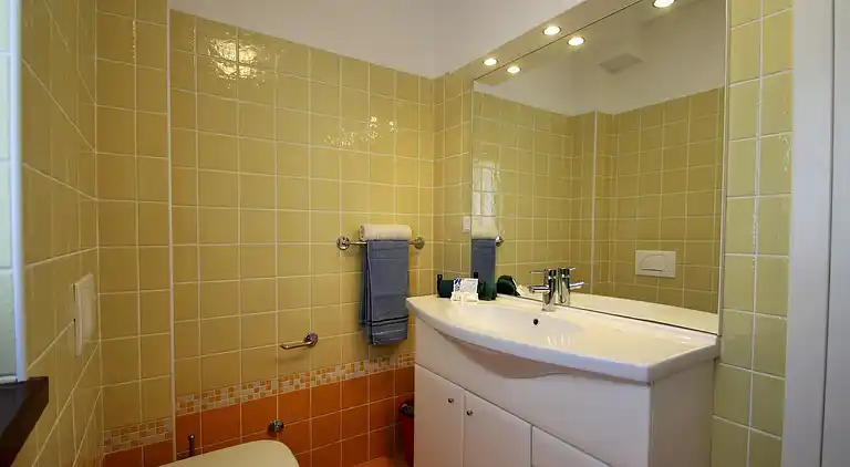 Farm house in Gedići