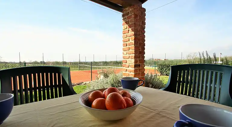 Farm house in Gedići