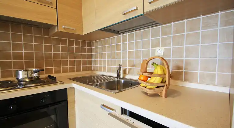 Farm house in Gedići