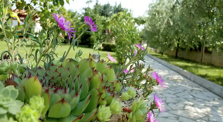 Holiday home in Vabriga