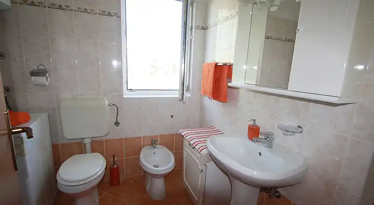 Farm house in Vabriga