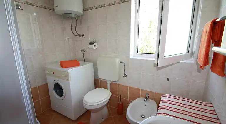 Farm house in Vabriga