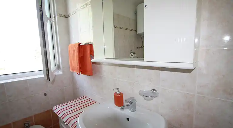 Farm house in Vabriga