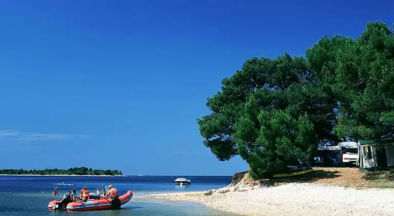 Farm house in Vabriga